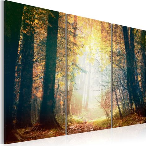Tableau Imprimé 3 Panneaux "Beauté de l'automne" 80 x 120 cm (1/2)