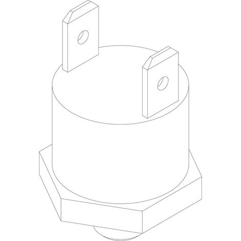 BOSCH Temperaturbegrenzer, 87379033990