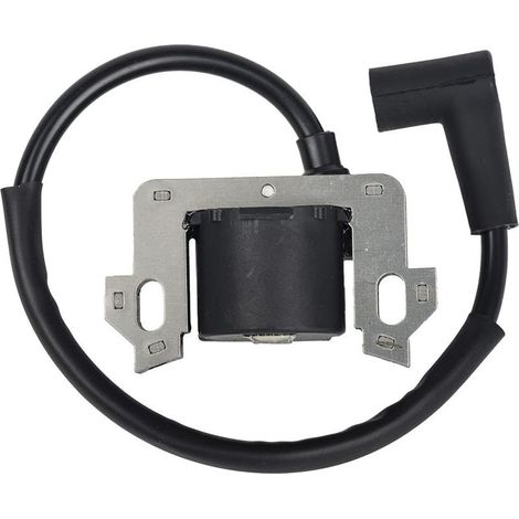 Module de Bobine D'allumage Compatible avec Honda GCV135 GCV160 GCV190 GSV160 (1/4)