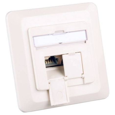 PRISE RÉSEAU EFB ELEKTRONIK ET-25133.1V1 ENCASTRABLE INSERT AVEC PLAQUE CENTRALE CAT 6A 2 PORTS BLANC PUR (RAL 9010) 1 P