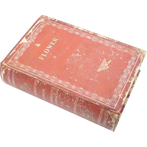 Boîte Vintage de Livre, Faux Livre Décoratif en Bois, Rangement (1/5)