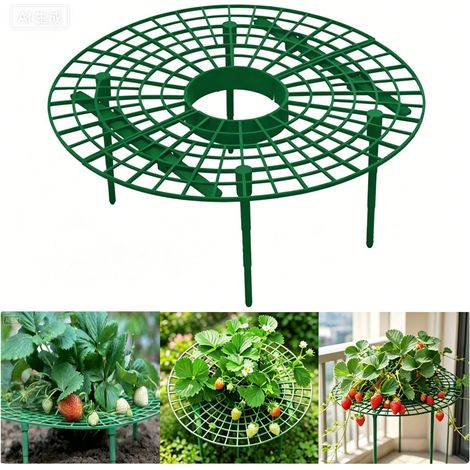 Lot de 10 Supports pour Fraisiers - Grand Support de Plantation 30 cm de Diamètre - Pour Culture de Fraises au Jardin (1/5)