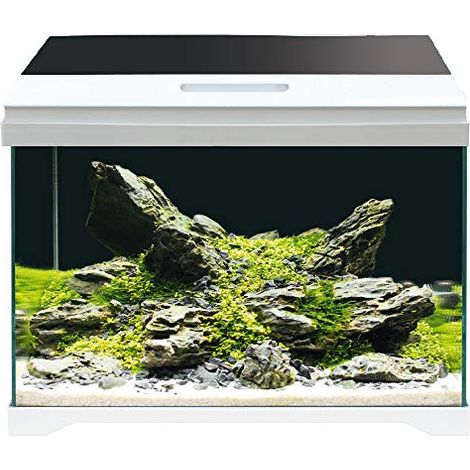 AMTRA MODERN TANK 40 LED - Acquario completo di illuminazione LED e filtro interno / cm 42,5x23,5x36,5 / 28 Litri