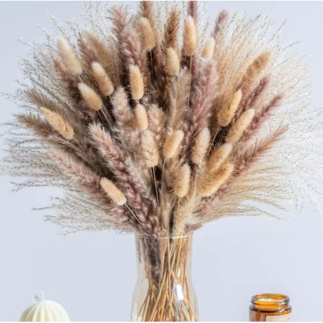95 Pcs Herbe de Pampas Séchées Brun Beige, Ensemble de Décoration de Pampa Séchée et Fleurs Séchées de Queues de Lapin, Naturelle Décoration Boho pour Maison, Table, Mariage, Fête (1/5)