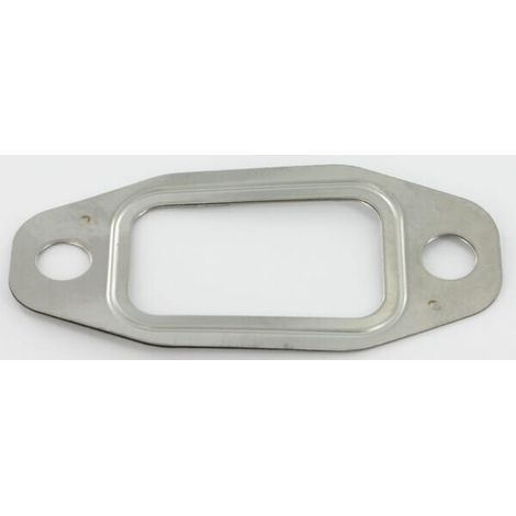 Dichtung Kollektor Ein-/Auslaß FENDT F184230090071