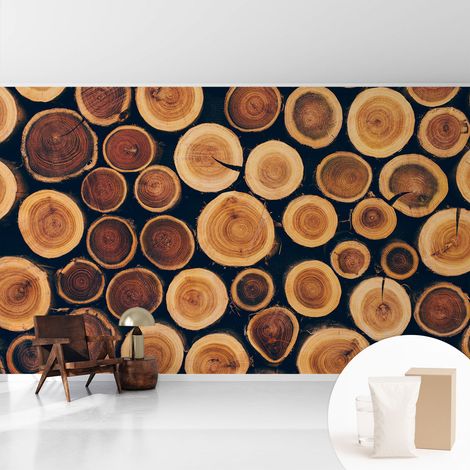 Newroom Tapete Dekorative Vliestapete mit Kleber Modern für Wohnzimmer Schlafzimmer Holzkreise 416x254 cm (1/5)