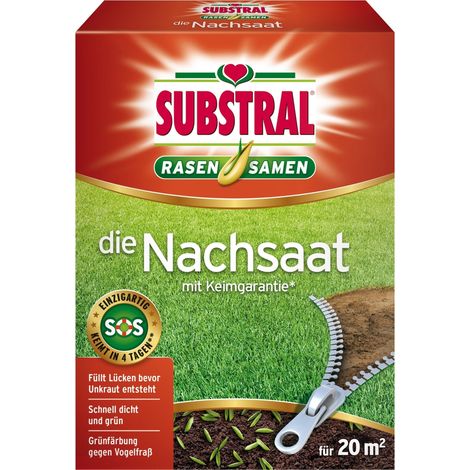 Semi substral die nachsaat germinazione rapida crescita a bassa temperatura