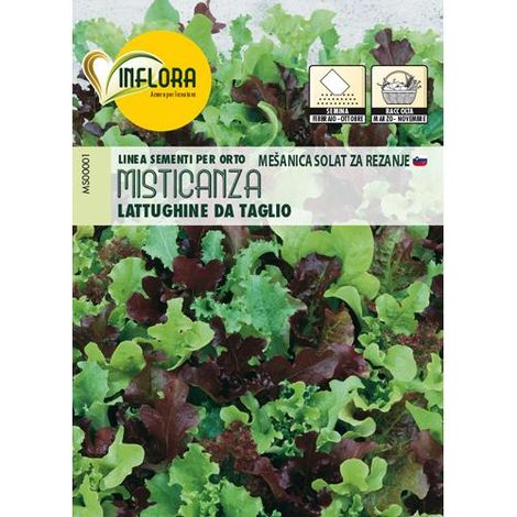 SEMI ORTO """MISTICANZA LATTUGHINE DA TAGLIO""" -  CF BUSTA 7 GR.