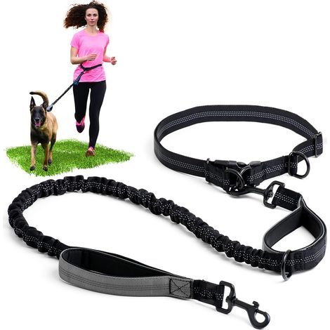 Laisse mains libres pour chien avec coutures réfléchissantes - Laisse de taille pour promenade, randonnée, entraînement, jogging, canicross, course à pied - pour races moyennes et grandes