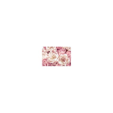 Komar Peonies 368 x 248 cm, Papier peint panoramique XXL4-091, photomurale sur intissé (1/3)
