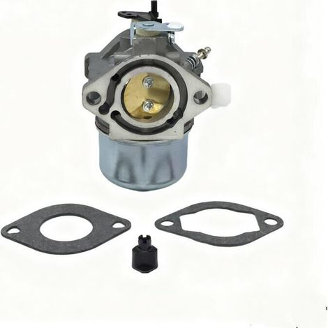 Carburador 699831 para bomba de aceleración de bajo consumo Briggs & Stratton 283702 694941 (1/4)