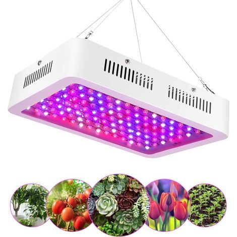 Illuminazione orticola, lampade LED per la crescita di piante da interno, 120 LED a spettro completo per ortaggi e fiori, con termometro a cordicella (1/5)