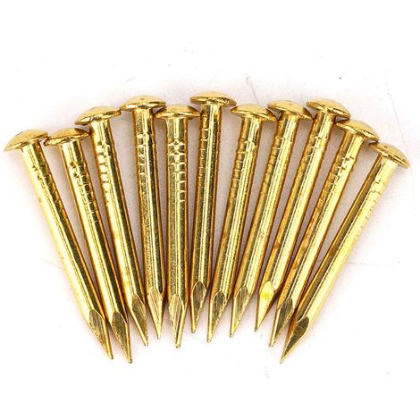 100 Pièces Clous à Tête Ronde Laiton pour Charnières de Meubles, Accessoires Quincaillerie 10mm/15mm/18mm/22mm Longueur (1/5)