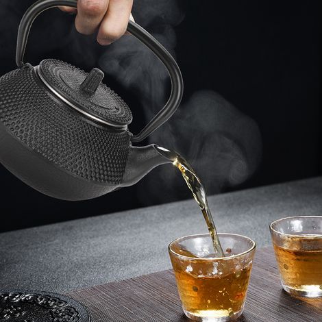 Théière en fonte 0,3 L pour usage domestique, avec passoire intégrée, inspirée des théières japonaises.