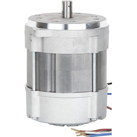 Moteur Riello 3005820