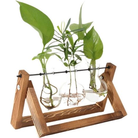 Vase hydroponique avec socle en bois, décoration de table, verre, marron (1/4)