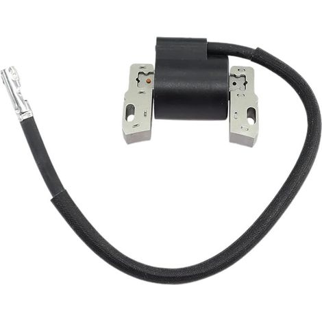 Bobine d'allumage pour Briggs & Stratton 495859 491312 490586 492341 28C707 28D707 31G777 303447 303777 Compatible moteurs 10-14HP Technologie de haute performance (1/5)