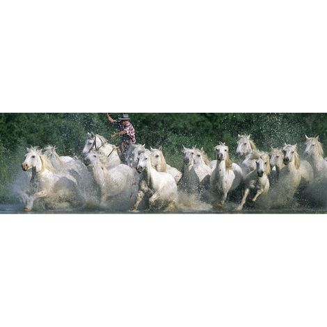 Tableau sur toile chevaux Camargue 30x97 cm - Impression sur Toile Murale Décorative - Image imprimée en HD sur Toile - Toile sur Châssis en Bois FSC - Fabriqué en France (1/4)