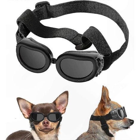 UV-Schutzbrille für kleine Hunde, verstellbarer Riemen, spritzwassergeschütztes Visier, wasserfestes Augenaccessoire für Haustiere. (1/4)