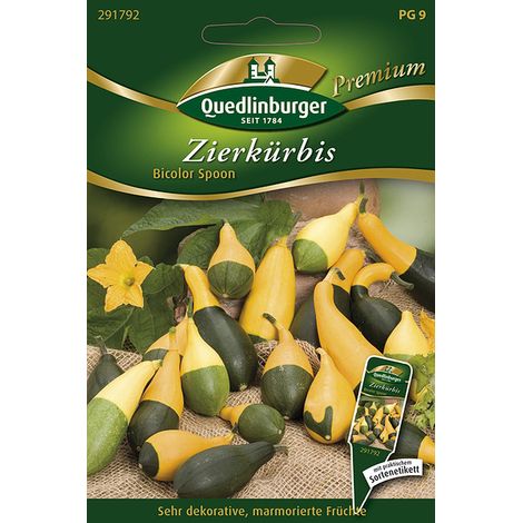 Quedlinburger Saatgut – Courge ornementale « Bicolor Spoon » – Graines, fruits mi-jaunes mi-verts, 10-20 cm