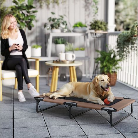 Cama elevada plegable para perros con malla 107 x 61 x 20 cm marrón OKWISH (1/5)