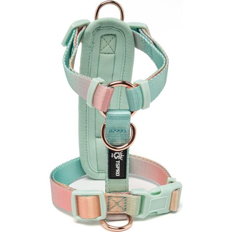 Harnais pour Chien Léger Réglable, Dégradé pour Petits Chiens (1/5)