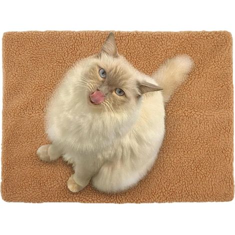 Plush Dog Bed, Warm Dog Bed for Winter, Self Heating Non Slip