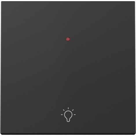 Tecla individual con visor y grabado luz pulsante negro mate Simon 360 (1/5)