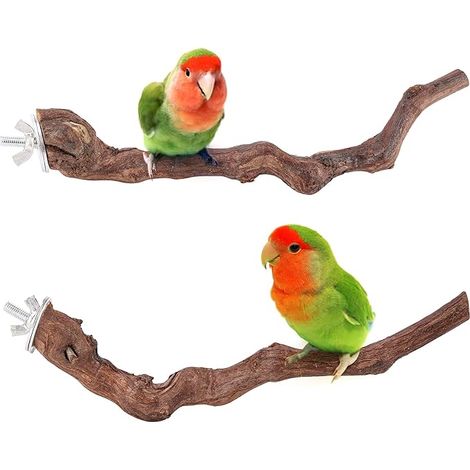 Perchoirs naturels pour oiseaux, supports en lianes pour cages à oiseaux et accessoires pour cages à perroquets (1/5)