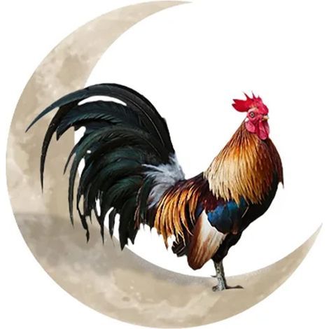 Metallener Wandbehang mit Hahn-Mond-Motiv. Einzigartige Dekoration für den heimischen Garten oder landwirtschaftliche Nutzfläche. (1/5)