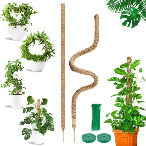 Tuteur Monstera Pliable 2 x 160 cm en Fibre de Coco avec Attaches  Support pour plantes grimpantes d’intérieur, modelable pour guider la croissance verticale attaches de jardin incluses (1/5)
