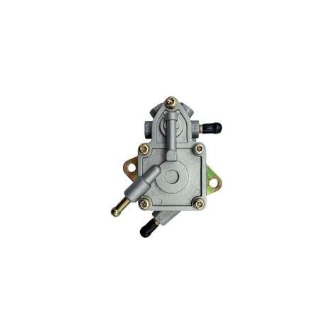Pompa carburante D300 H300 G300 260cc 300cc (1/2)