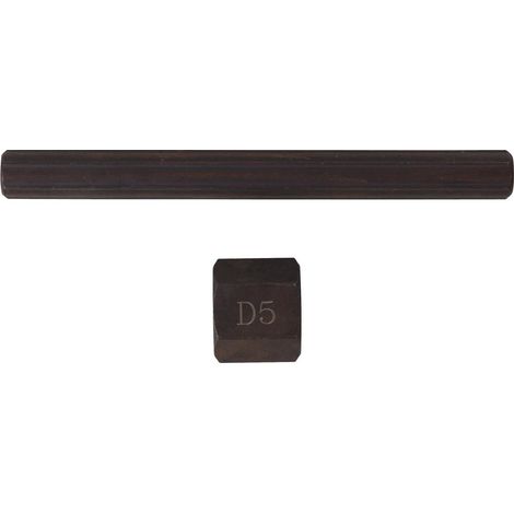 Dado per estrattore completo di punta da 5