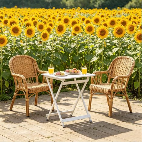 Tavolo pieghevole da campeggio 50.5x46.5x60 cm, portatile, struttura a X, alluminio, argento (1/5)