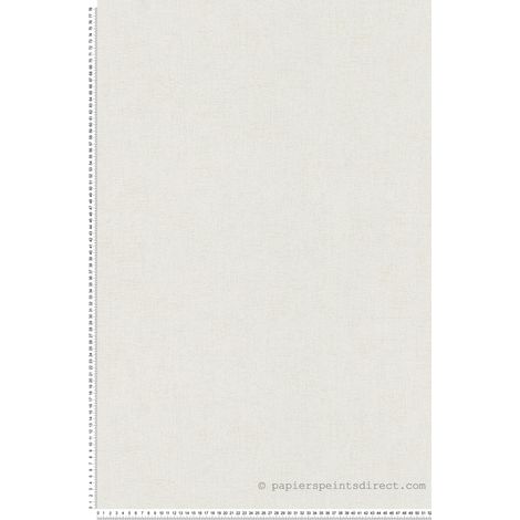 Peint peint moderne et tendance gris uni Tapisserie pour salon et salle à manger Papiers peints déco scandinave pour chambre (1/3)