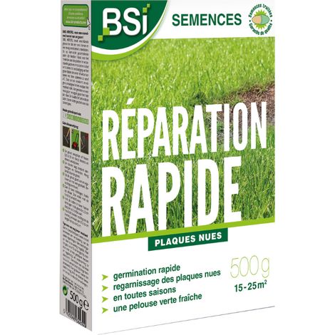 Semences réparation gazon 500gr