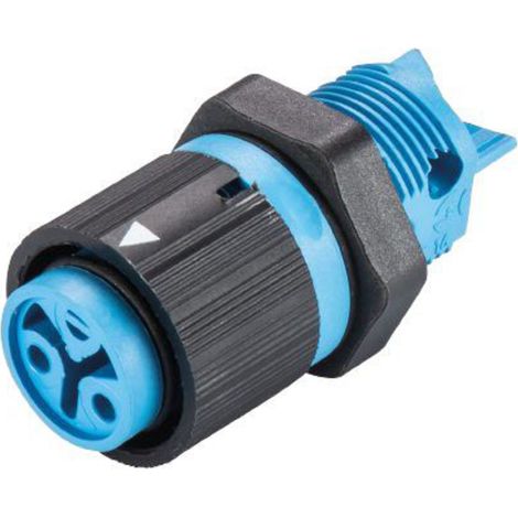 Wieland Electric 46.031.5054.9 Rundstecker Buchse, Einbau Gesamtpolzahl: 2 Serie (Rundsteckverbinder
