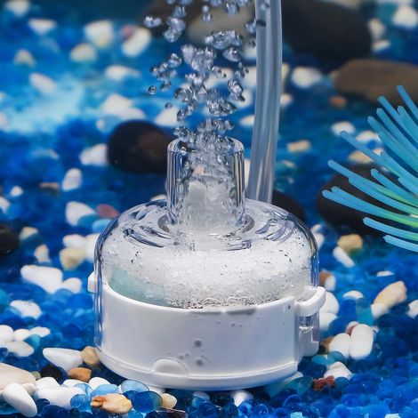 Mini Filtre Aquarium Quiet Fry Shrimp Filtre Biologique pour Petits Poissons avec Mousse et Boules filtrantes Filtre Submersible pour Aquariums jusqu'à 20 L Pompe et Tuyau Non Inclus (1/5)
