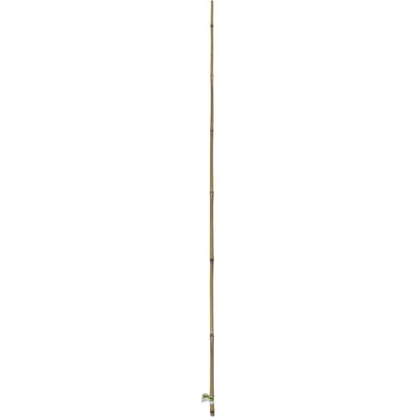 Soporte de bambú natural de 150 cm, espesor 10/12 mm, lote de 2 piezas - Nortene (1/2)