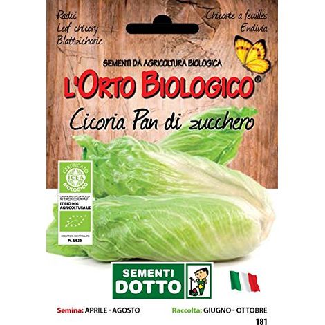 SEMENTI CICORIA PAN DI ZUCCHERO