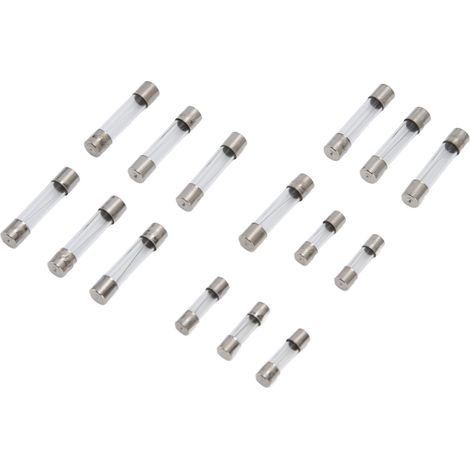 Packung mit 250 schnellen Glassicherungen für Autos, Aufbewahrungsbox, 15 Nennwerte, 1-20A 250V, Röhrensortiment. (1/5)