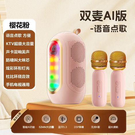 Enceinte Bluetooth (rose), enceinte karaoké sans fil avec microphone intégré (1/5)