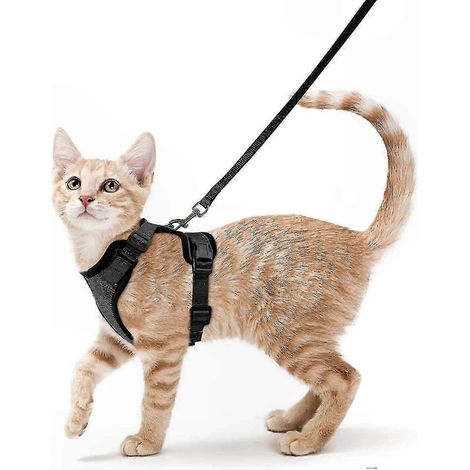 Harnais souple et réglable pour chat avec laisse, gilet anti-fugue pour les promenades, conception respirante, noir, très petit (1/4)