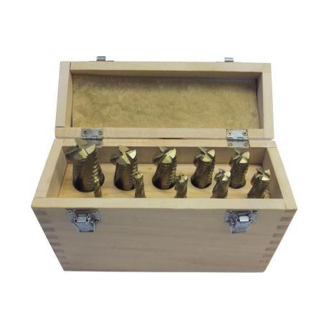 Schrupp Schraftfräser Set 10 tlg 4 schneiden HOLZMANN ffs10