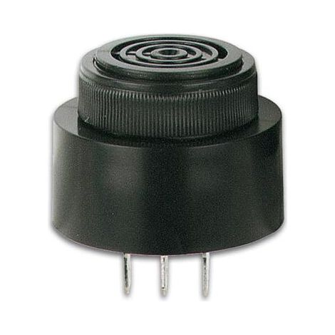 Buzzer Magnetique - 6 V à 28 V CC - Connexion Faston - IP68 - Noir - 1 Pièce (1/2)
