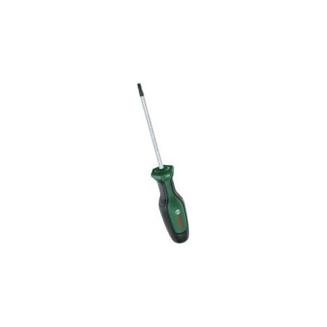 Bosch Handwerkzeuge Schraubendreher Torx TX20 x 100 mm - 1600A03DT4 (1/4)
