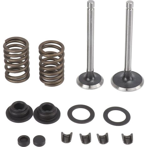 Pièces de Valve de microtiller, fer résistant à l'usure, Anti-Corrosion, rondelle à ressort, jeu de clips de verrouillage pour générateur (1/5)