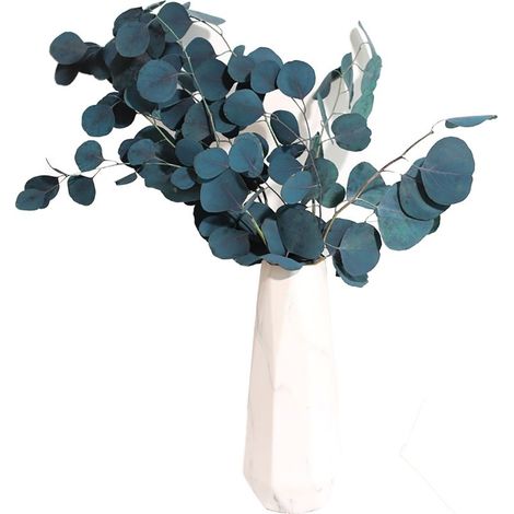 Bouquet de fleurs séchées d'eucalyptus, décoration durable pour salon et intérieur de la maison. (1/5)