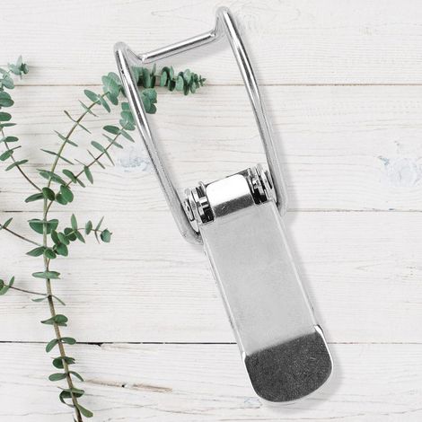 Loquet de coffre/valise en métal, fermoir à bascule, loquet de porte/boîte, lot de 4 en acier inoxydable 201 (1/5)