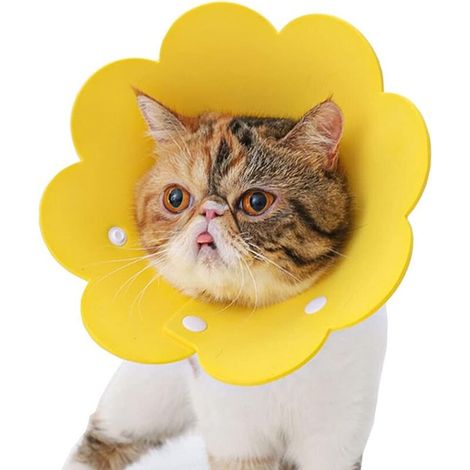 Pet Collar, Anti-Lick Collar, Protective Collar, Elizabethan Cat Collar (Yellow, M) (1/5)